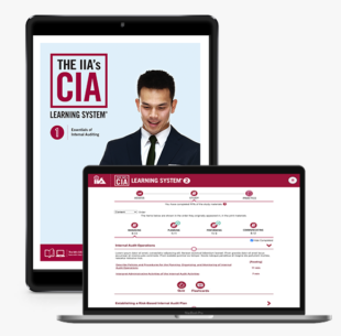 IIA CIA Learning System 7.0 P1 Online